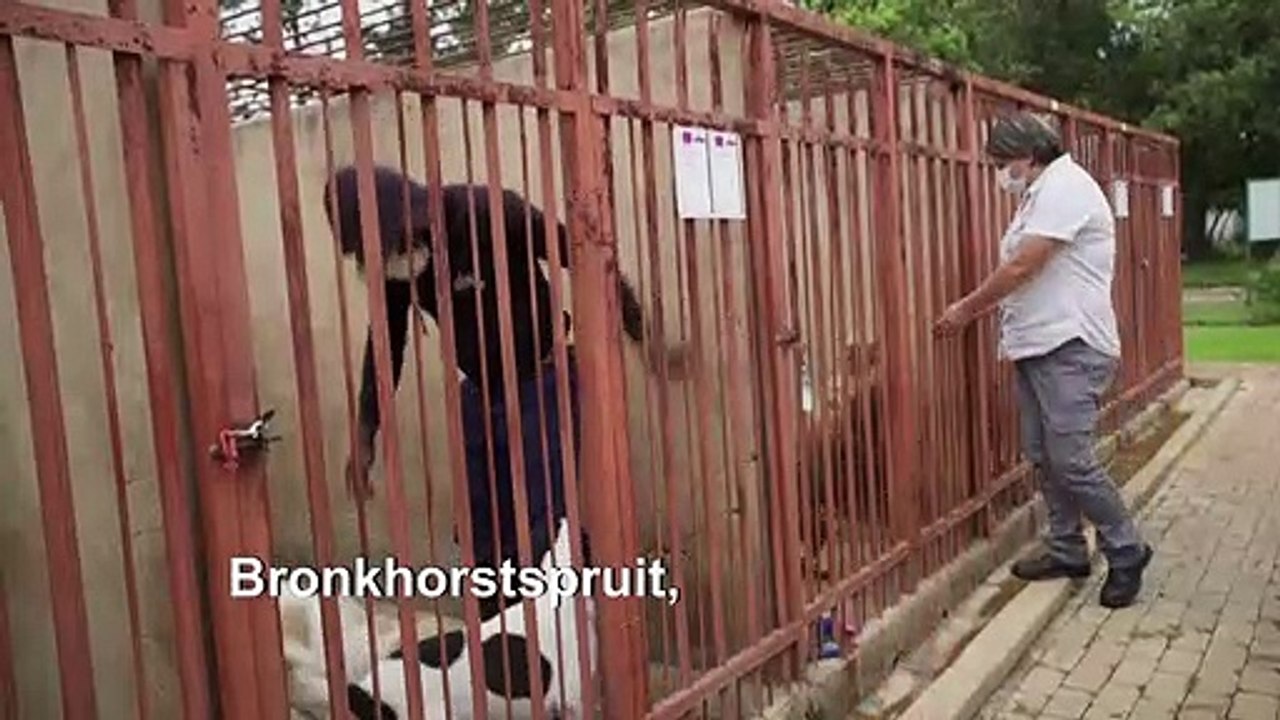 Wegen Corona: Tierpfleger ziehen zu ihren Schützlingen