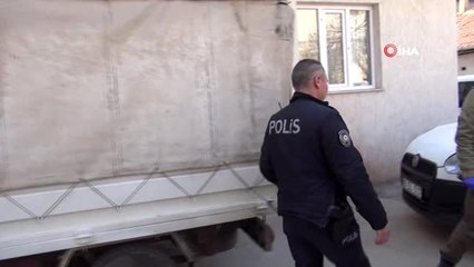 Yasağa rağmen dışarı çıkıp hırsızlık yaptılar