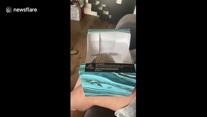 Man finds piece of plastic embedded in supermarket Easter Egg