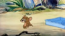 Tom and Jerry  / Lo mejor desde el comienzo /Parte 21 /1940 - 1958