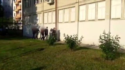 Uyuşturucu operasyonunda gözaltına alınan 3 kişi tutuklandı