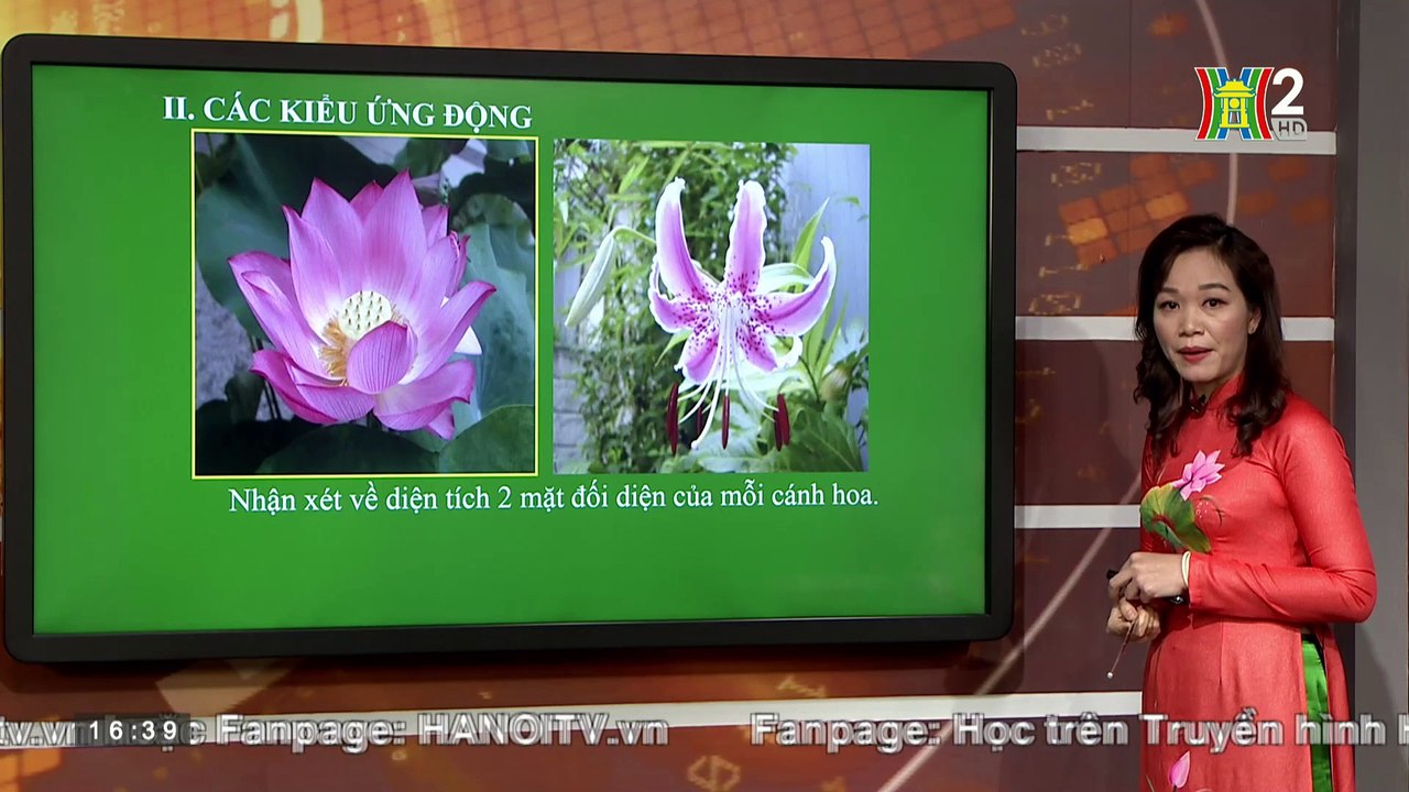 Sinh học 11. Bài 24- Ứng động (16h30 ngày 21_3_2020) Ðài truyền hình Hà Nội, các chương trình đã phát.