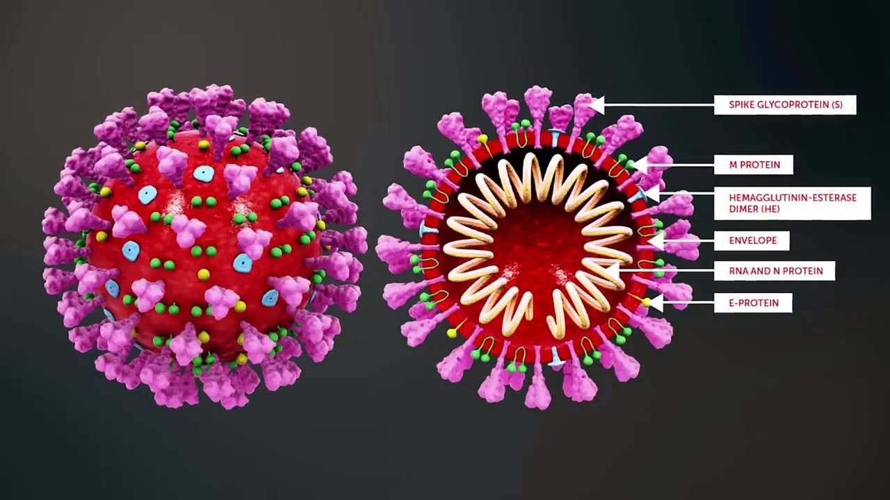 An Infectious Disease Expert Speaks Intensively On COVID 19