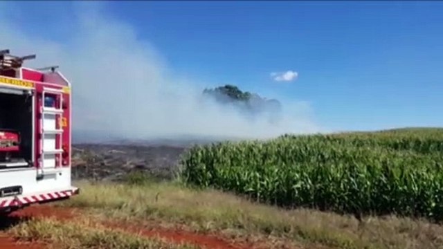 Corpo de Bombeiros é acionado para conter incêndio próximo ao Ceasa