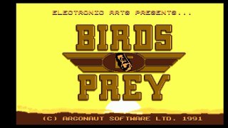 Birds of Prey_Amiga_1992