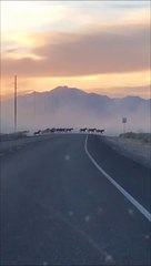 Il voit un énorme nuage de fumée au loin, ce qu'il découvre est incroyable