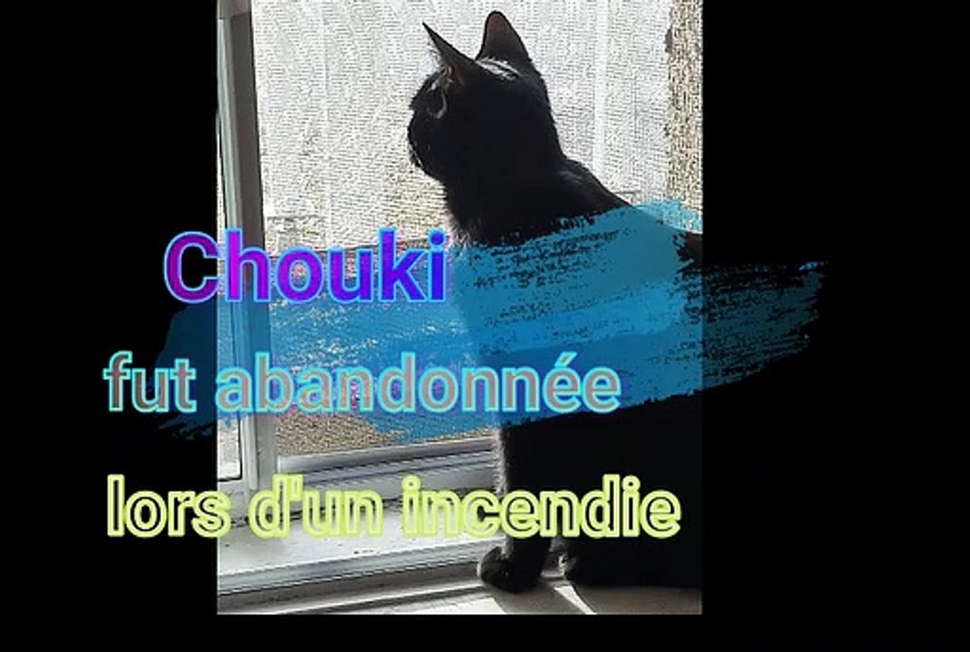 Chouki2020