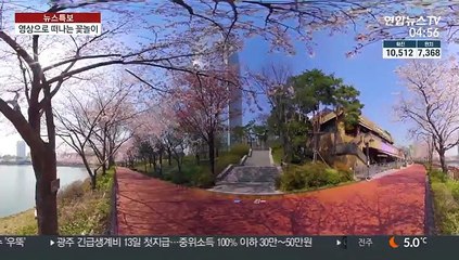 온라인으로 즐기는 봄 정취…"내년에는 꼭"