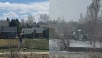 Before and after the snow fell