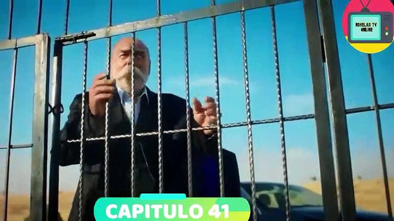 Hercai -  Capitulo 41