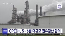 OPEC , 5∼6월 대규모 원유감산 합의