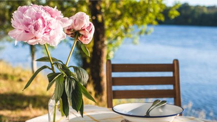 Post-Coronavirus Era Could Sound Death Knell For 20% Of America's Restaurants