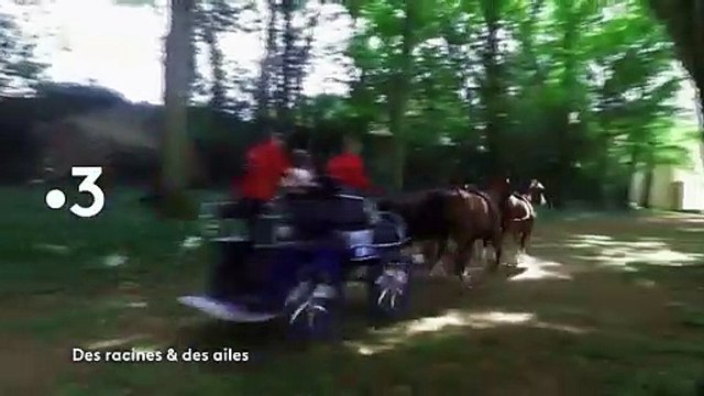 Des racines et des ailes