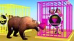 Learn Colors With Animal - Wrong Fruits Colors Drop on Road for Animals and Cages Cartoon for Children