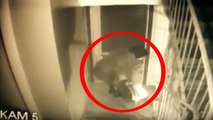 5 Extremely Chilling Real Life Events Caught on Surveillance Cameras...
