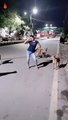 इंदौरः जब कुत्तों के सामने नाची बसन्ती, सोशल मीडिया पर वीडियो हुआ वायरल