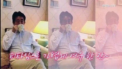 [현장] 한가하게 개하고 놀 때인가…아베 트위터에 비난 봇물