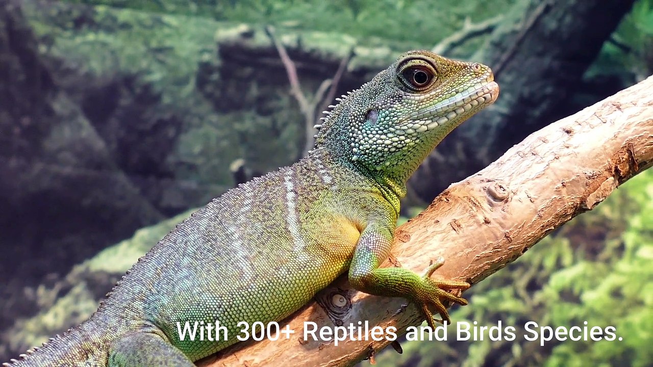 7 Beautiful Wildlife Places To Visit For 2020