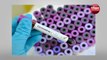 Coronavirus Update : चीन का बड़ा खुलासा, सी फूड मंडी में नहीं, प्रयोगशाला में था कोरोना वायरस