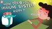 How Does Your Immune System Works?| What Is Immune System? | The Dr Binocs Show | Peekaboo Kidz