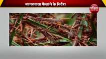 Locust Attack || हाई अलर्ट पर हरियाणा के जिले