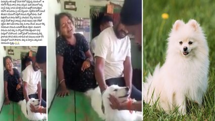 A Pet Dog Sacrifice For His Owner, Emotional Story | Oneindia Telugu