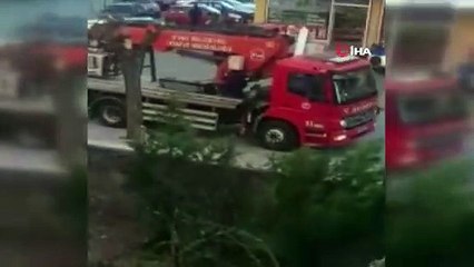 Sivas'ta itfaiyeden 'tavuk kurtarma' operasyonu