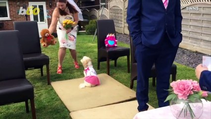 “I do!” Couple Forced to Cancel Wedding Tie the Knot in Surprise Backyard Ceremony
