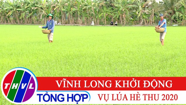 Nông nghiệp bền vững: Vĩnh Long khởi động vụ lúa Hè Thu 2020