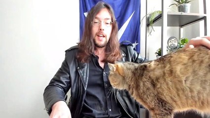 NYT Accidentally Insinuates that Allegations Against Biden Are True