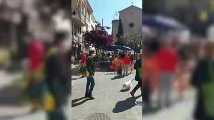 El mercado del pueblo natal de la portavoz de Torra se abrió en pleno confinamiento por el coronavirus