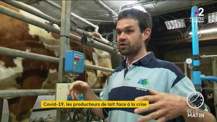 Coronavirus : comment les producteurs de lait font face à la crise