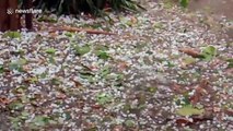 Golf ball-sized hail damages almost 100 homes in northern Thailand as summer storms hit
