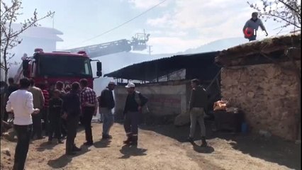 Uşak'ta feci olay: Yangında 82 hayvan telef oldu