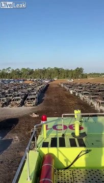 3500 voitures de location brûlées dans l'incendie proche d'un aéroport en Floride