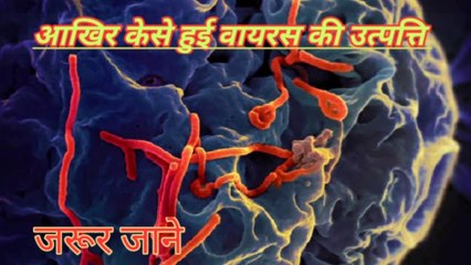 How did virus originated