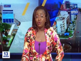 RTG / Séance de travail du comité de coordination de la réponse continentale de l’UA au covid 19