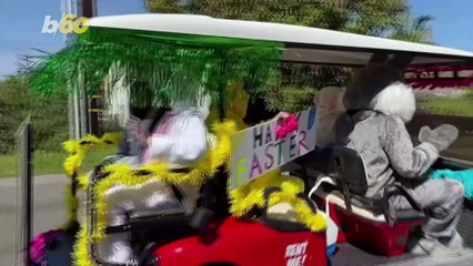 This Easter Bunny Made House Calls