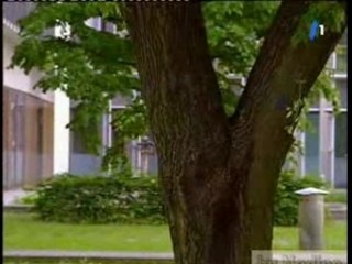 Le destin de lisa C'est ma faute