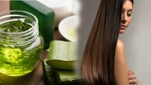 Silky & Shiny बालों के लिए घर पर बनाएं घर पर बनाएं Aloe vera Shampoo | Aloe vera Shampoo | Boldsky