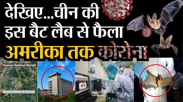China की Bat Lab से फैला America तक Coronavirus, Wuhan की Lab में बन रहा था Biological Weapons