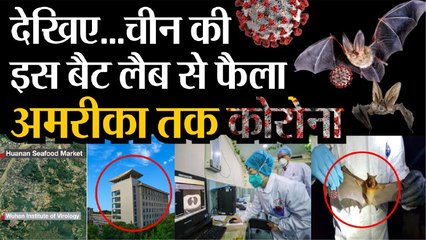 China की Bat Lab से फैला America तक Coronavirus, Wuhan की Lab में बन रहा था Biological Weapons