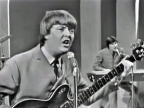 (FAKE) Donald Trump and The Animals - Don't let me be misunderstood