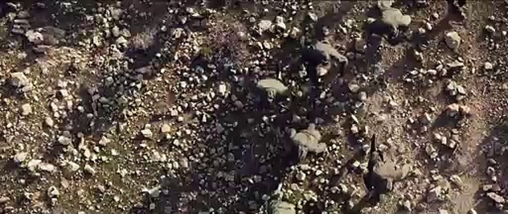 إعلان مسلسل قلب الذيب