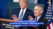 Trump Retweets Call to Fire Dr. Anthony Fauci