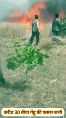 खेतों में लगी आग से 30 बीघा फसल हुई राख