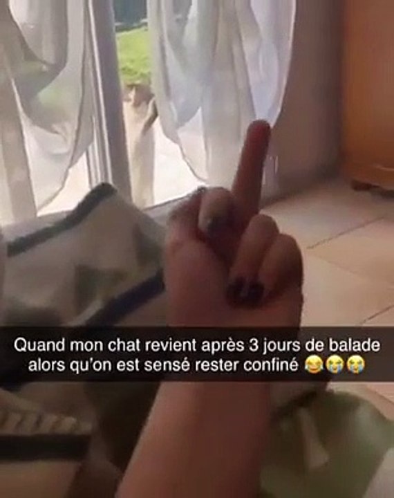 Mon chat reviens après 2 jours alors que c'est...