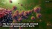 Images Capture the Moment Coronavirus Infects a Cell