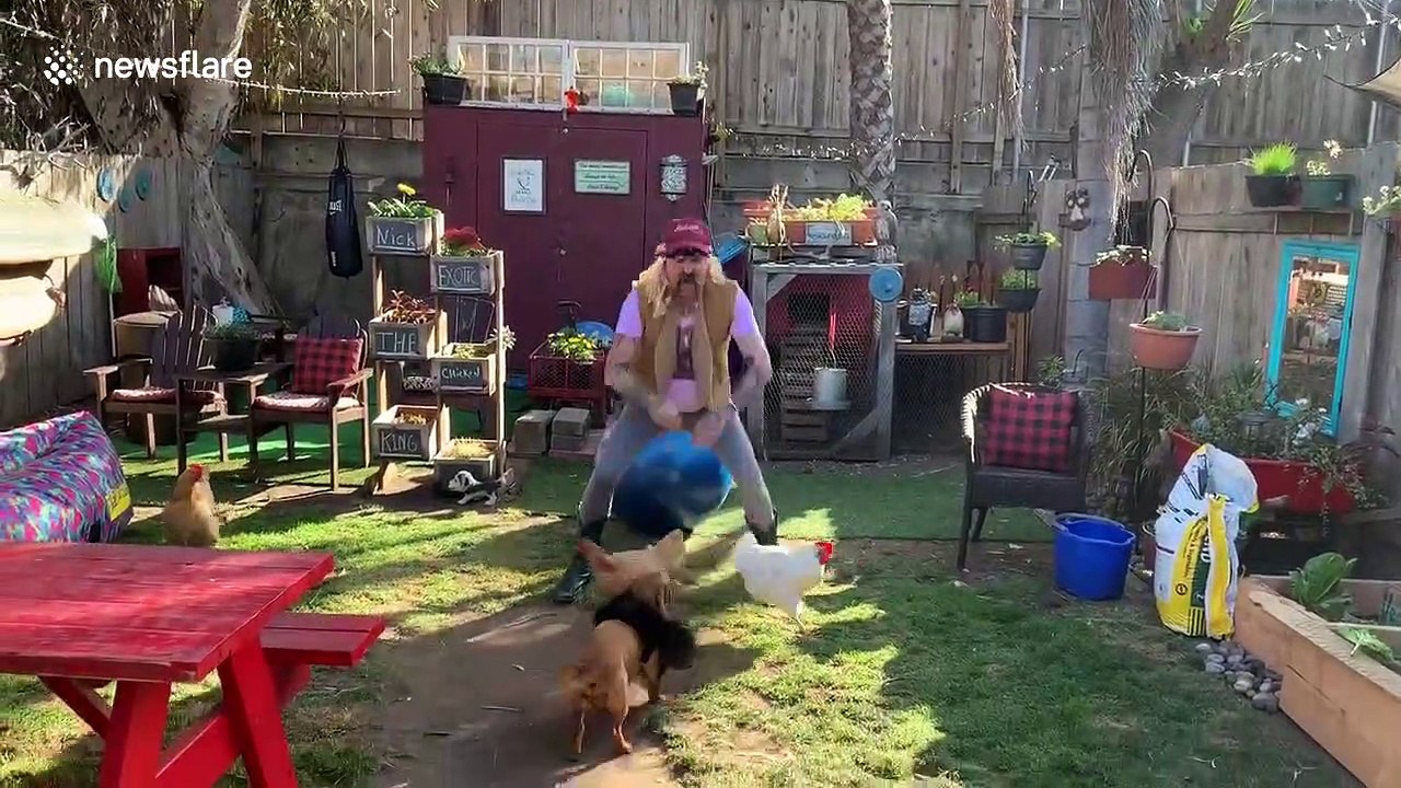 'Chicken King work out!' Quarantined man in California recreates 'Tiger King' while working out with his chickens