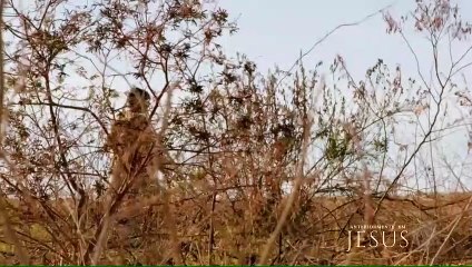 Novela Jesus - Capítulo 10 Completo